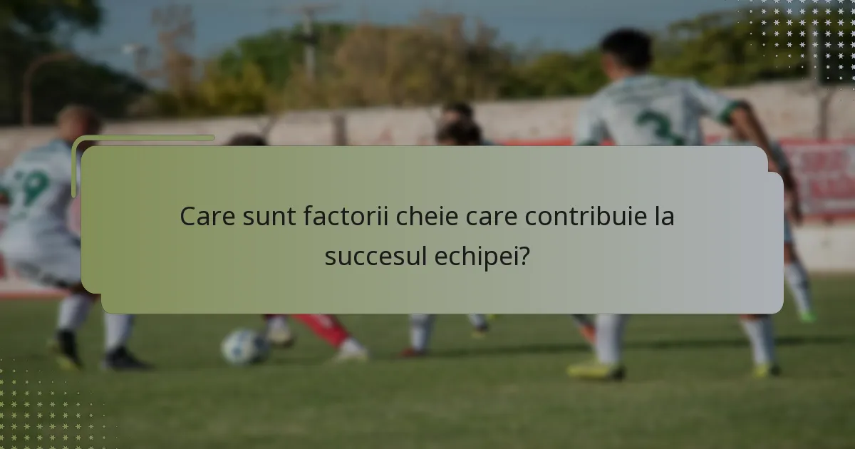 Care sunt factorii cheie care contribuie la succesul echipei?