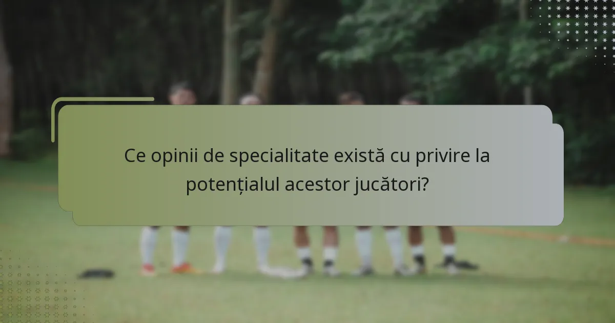 Ce opinii de specialitate există cu privire la potențialul acestor jucători?